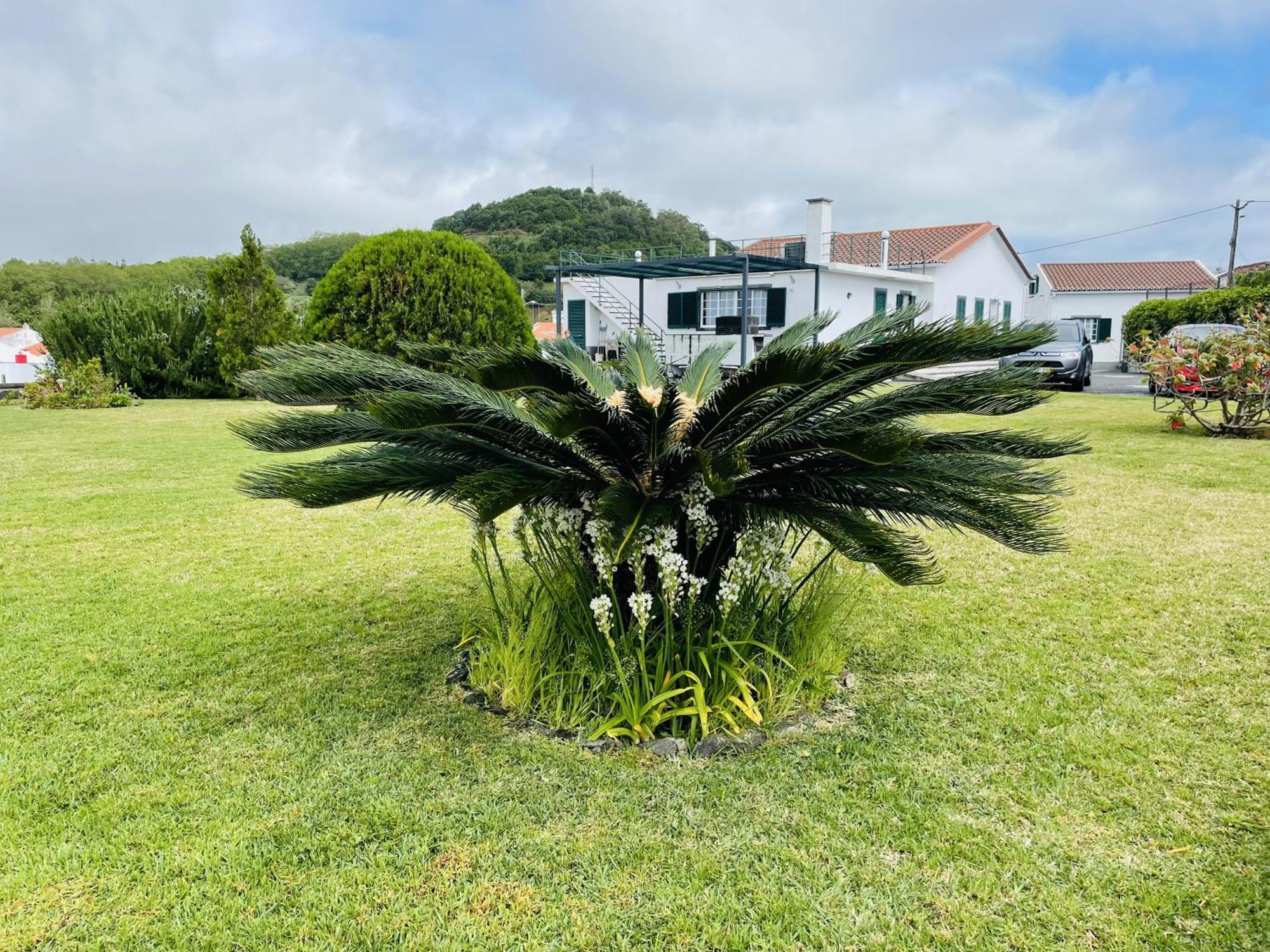 Casa da Fajã Ponta Delgada Exterior foto